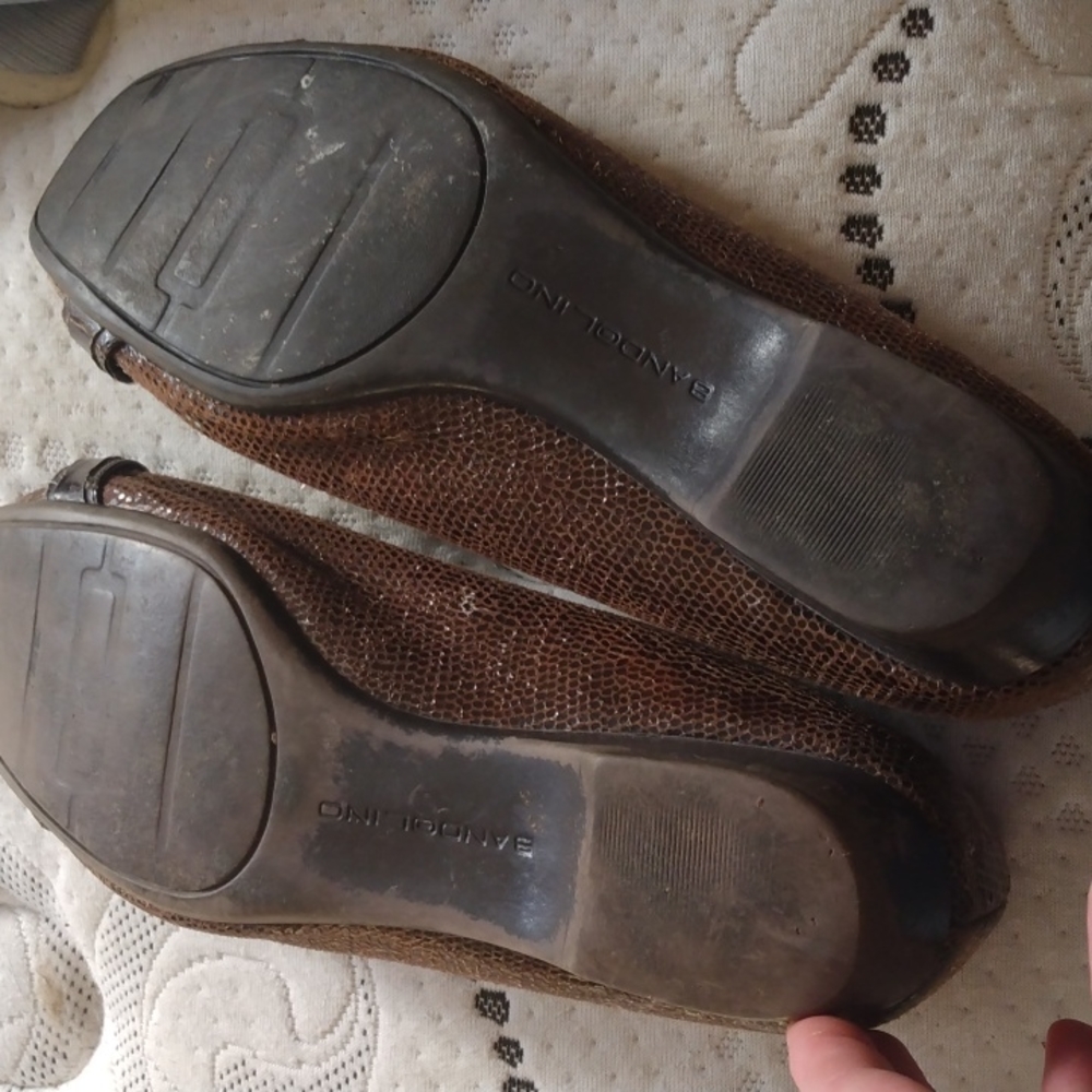 Shoes - Picture 5 of 5